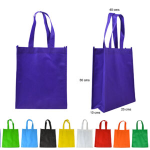 061- BOLSA TNT 25 x 30 x 10